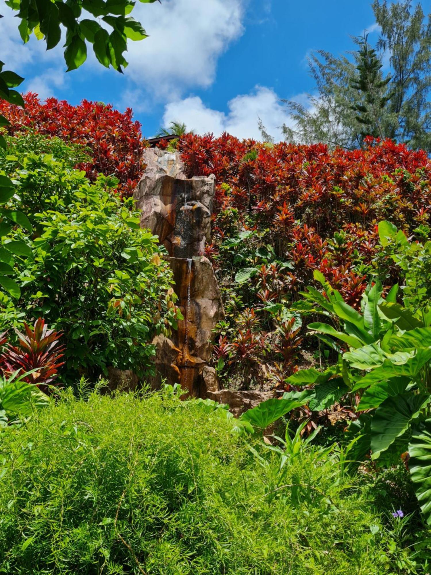Les Gites Kajou Bouillante Exterior foto