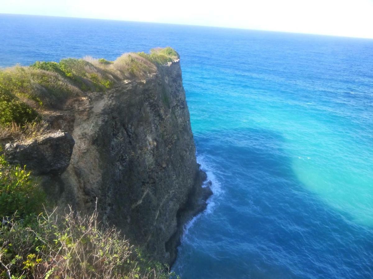 Les Gites Kajou Bouillante Exterior foto
